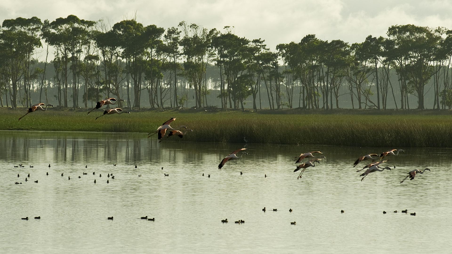 Beautiful Lagoon Front Estate located in Jose Ignacio, Punta del Este, Uruguay, listed by Curiocity Villas.